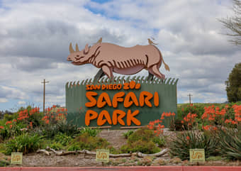 San Diego Zoo Safari park