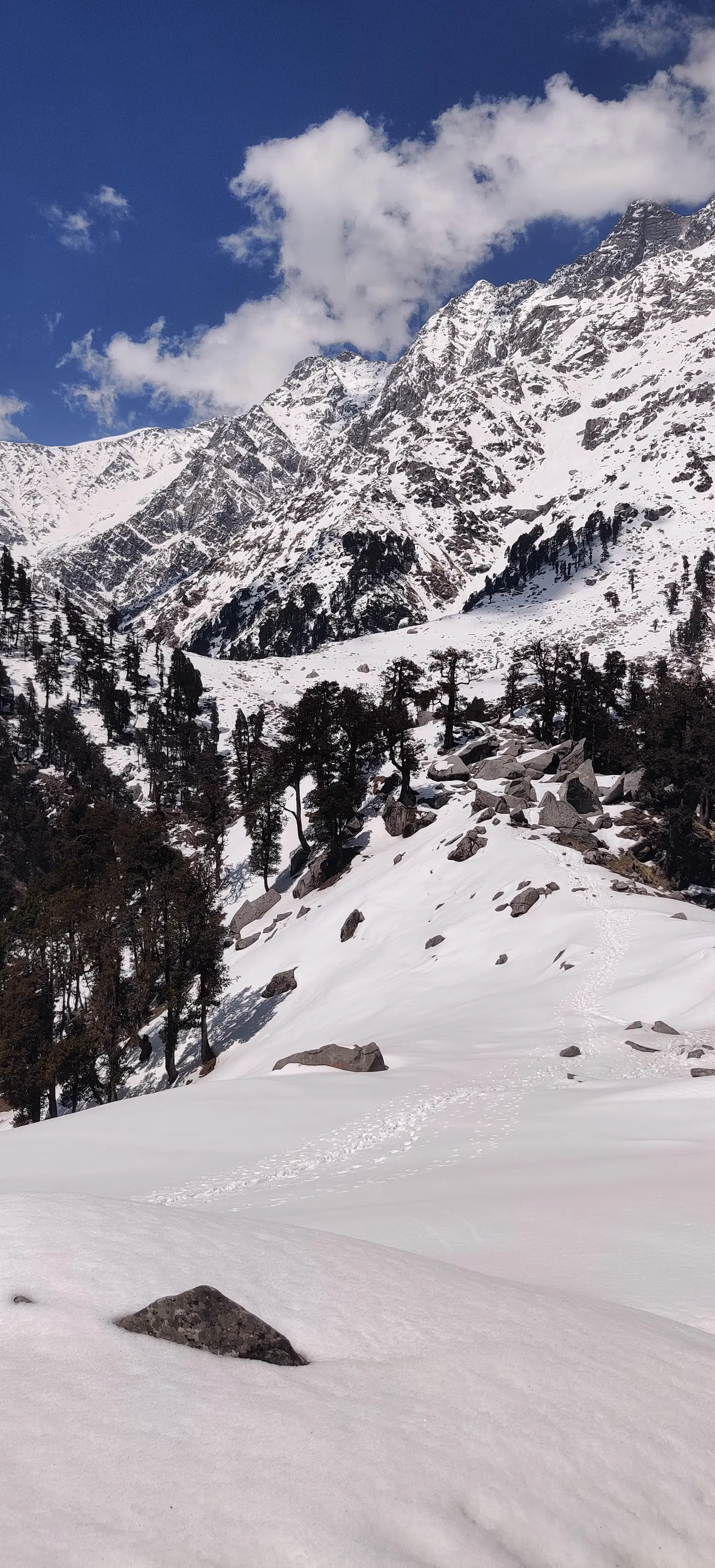 Photo from Rahul  Joshi's trip