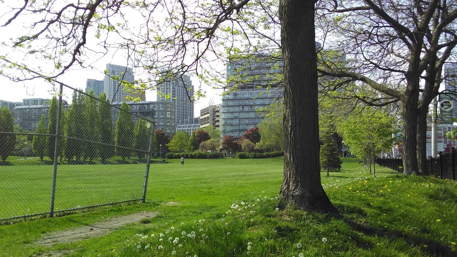 Harbourfront Park