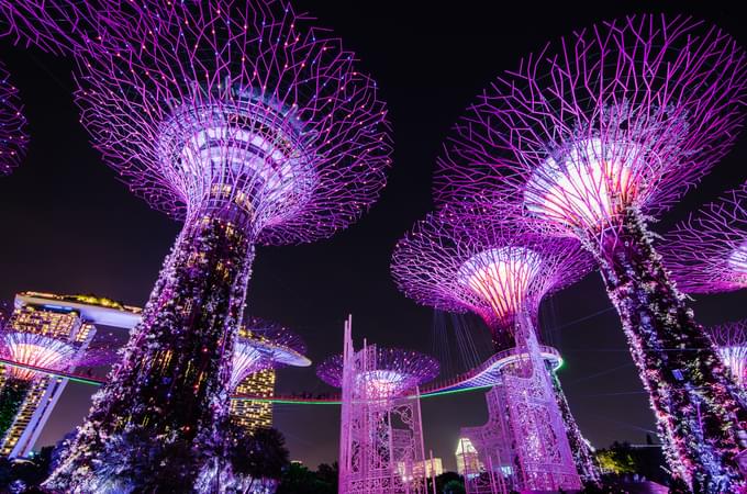 gardens by the bay tree