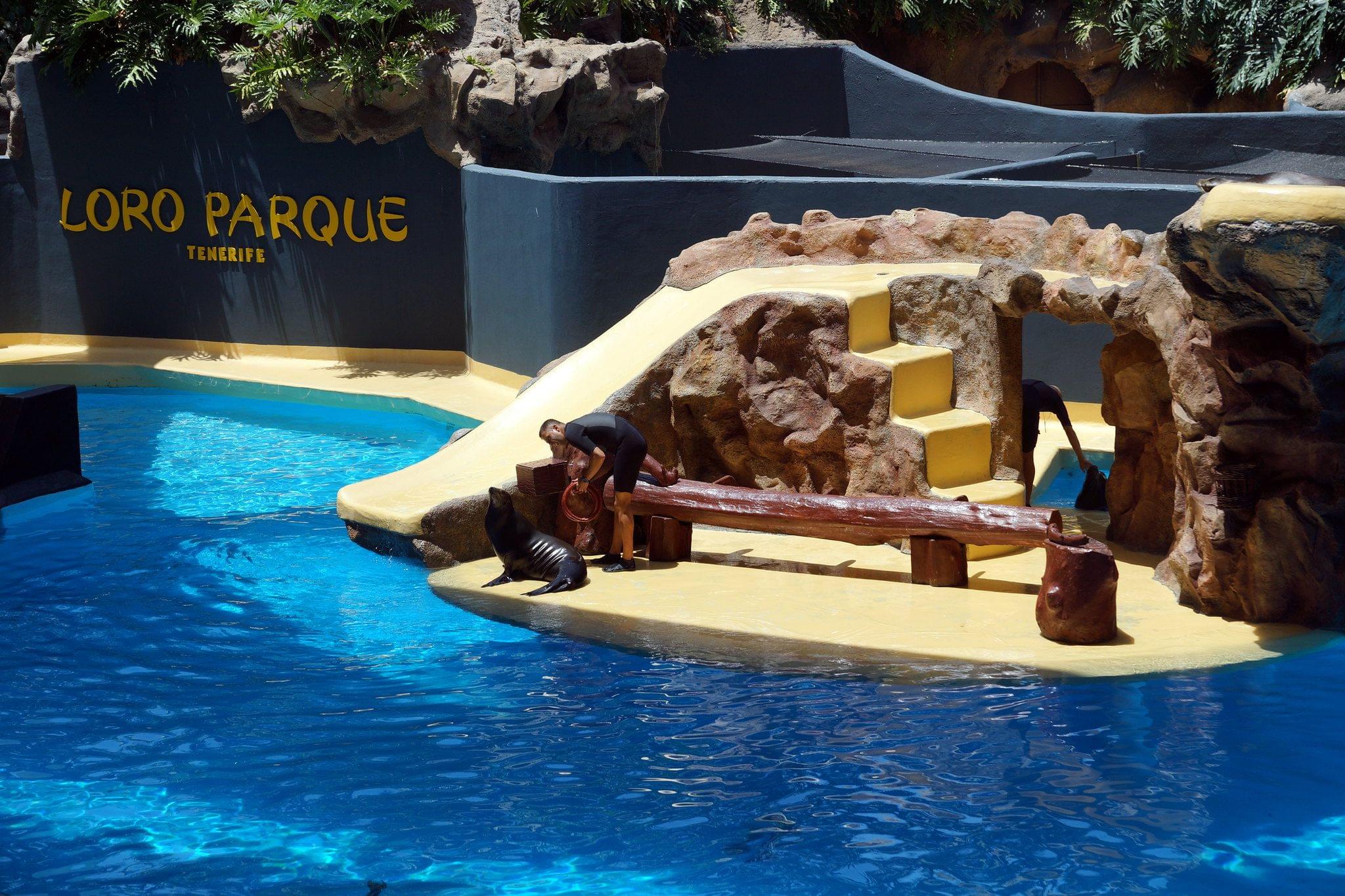 Loro Parque Tickets