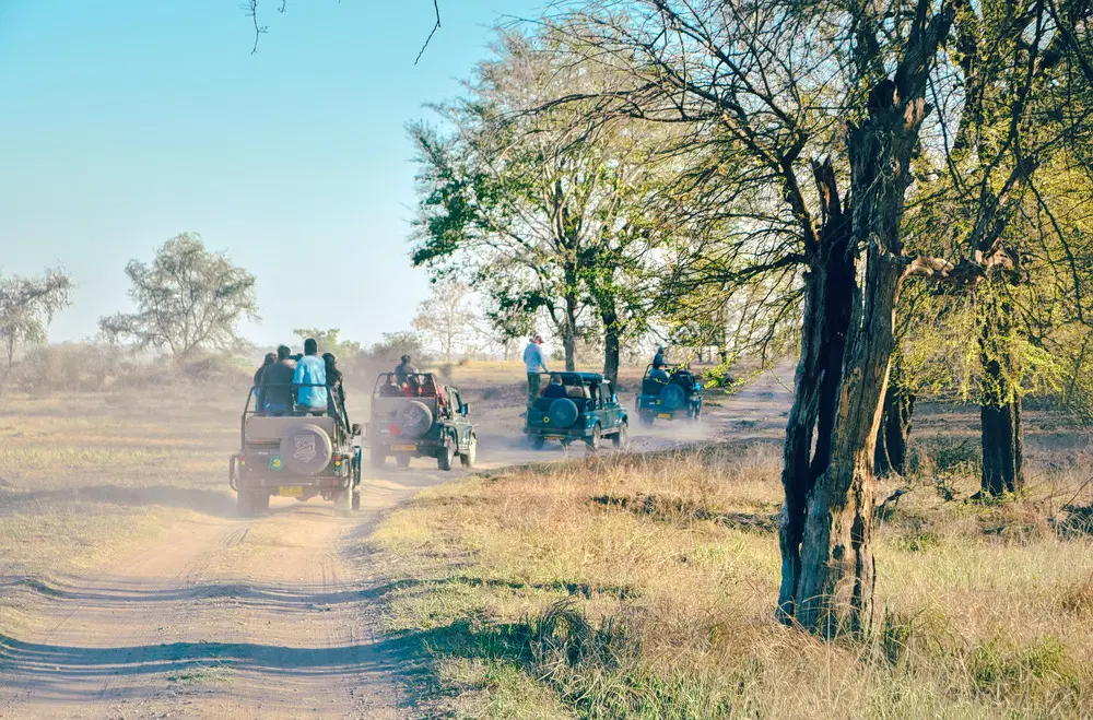 Panna National Park