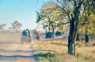 Lwqystox7txgpnl79ggjd5d2p0a0 1533202799 shutterstock 600766640 (1)