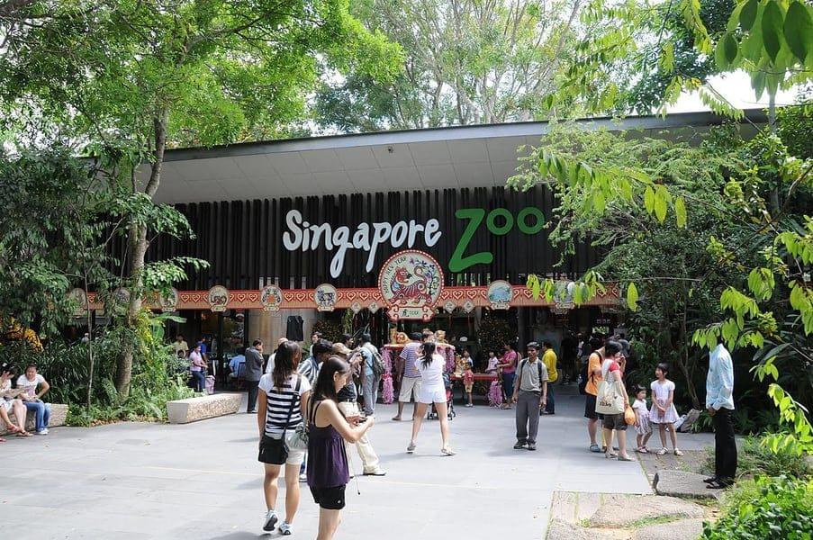  Jurong Bird Park + Singapore Zoo