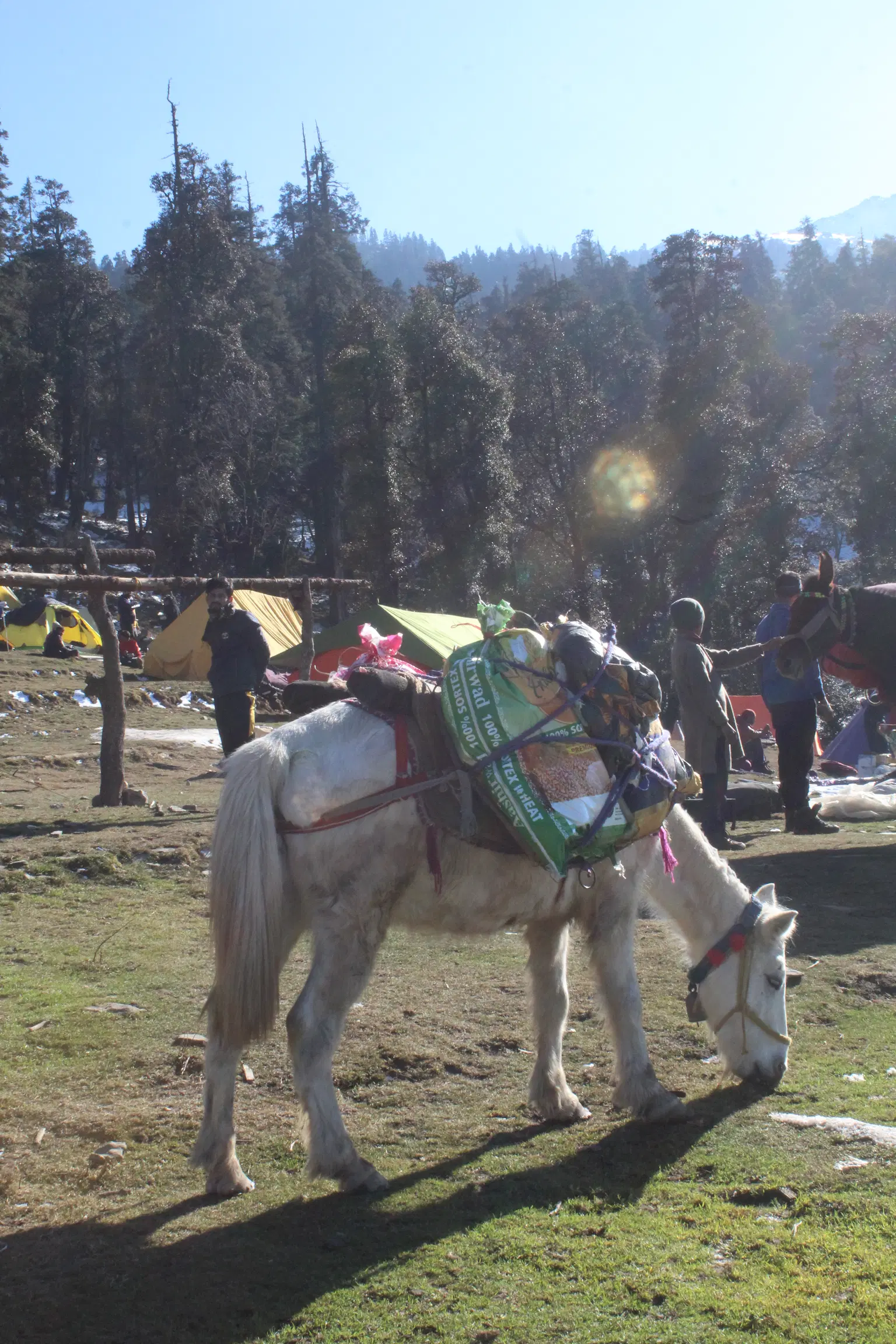 Photo from Yash Chaurasia's trip