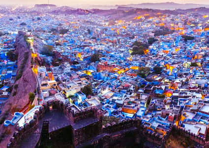 Manav Reddy
