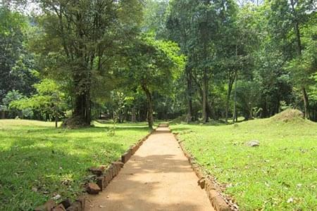 Popham's Arboretum Park Overview