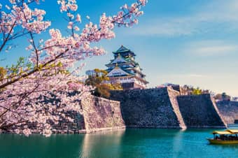 Admire Osaka Castle, highlighting city's heritage