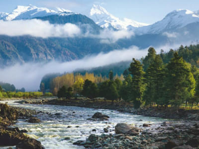 Best of Kashmir | FREE Shikara Ride Day 1