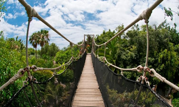 Feel the thrill as you walk through the rope bridge surrounded by lush greenery