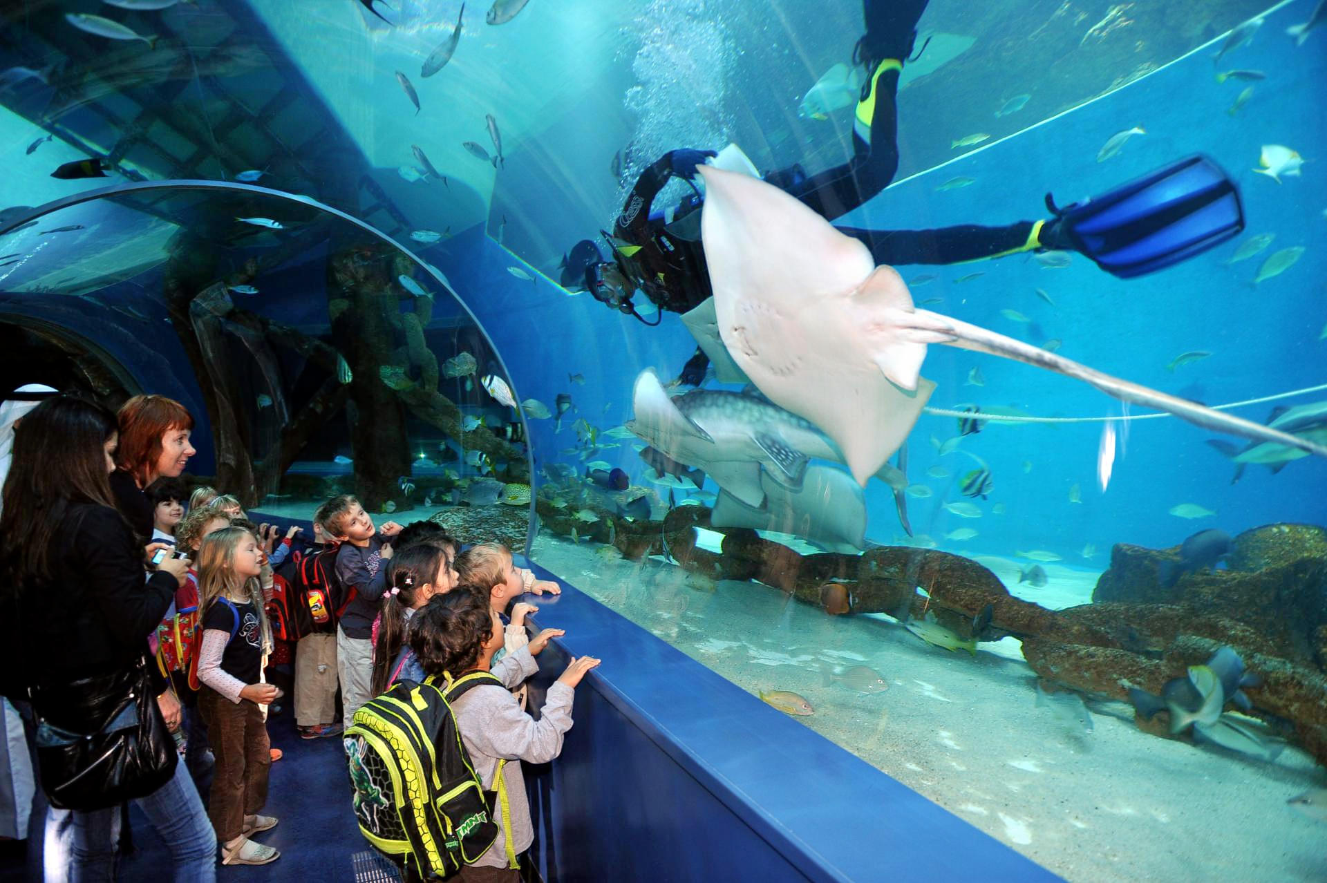 Sharjah Aquarium Overview