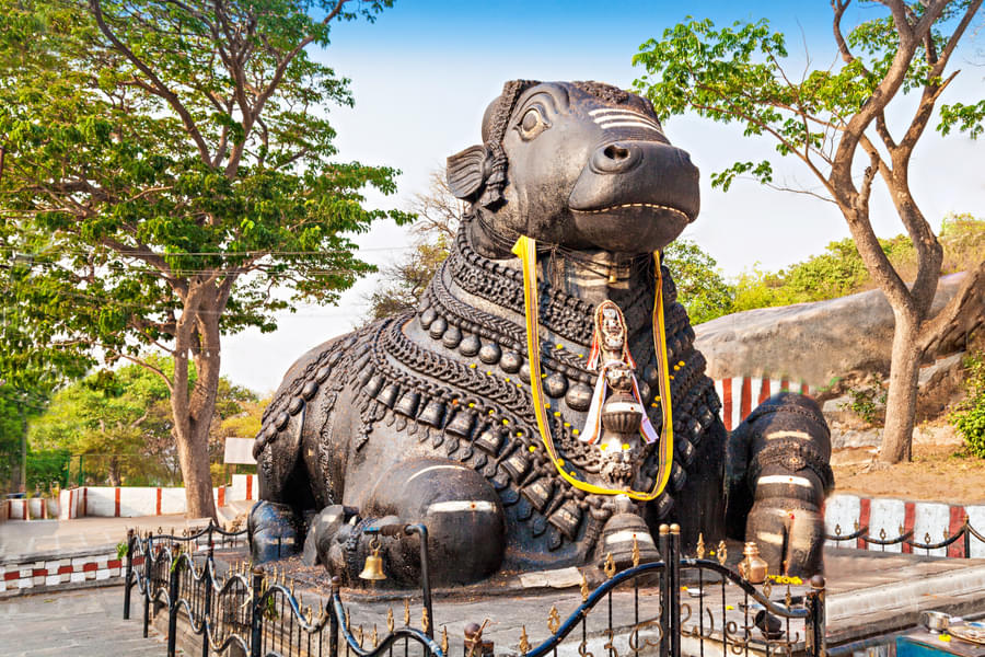 Bangalore to Mysore 1 Day Tour Package Image