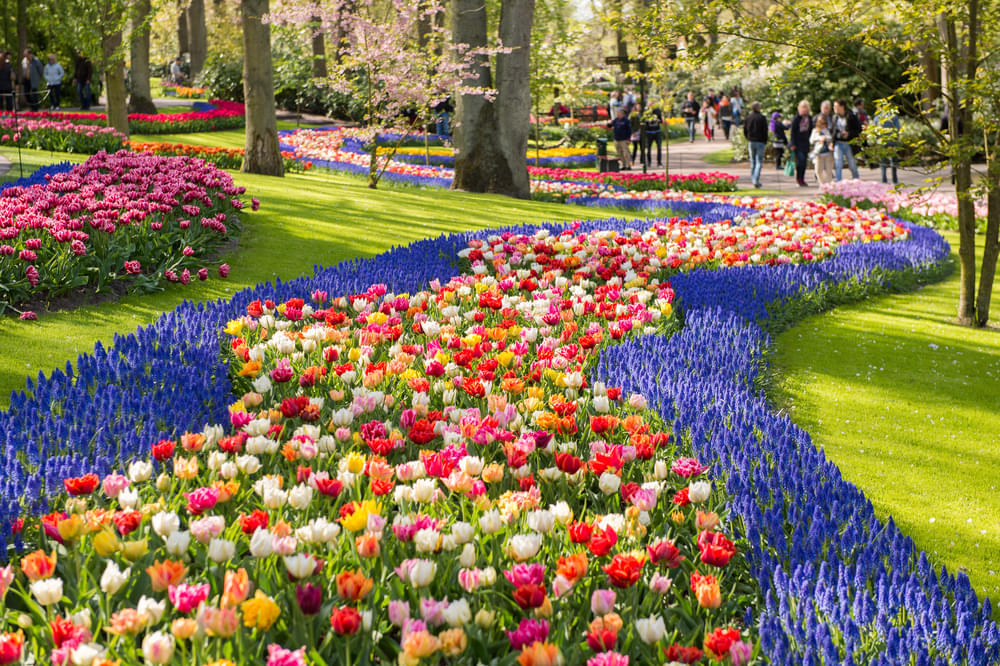 Be mesmerized by the vibrant flower beds