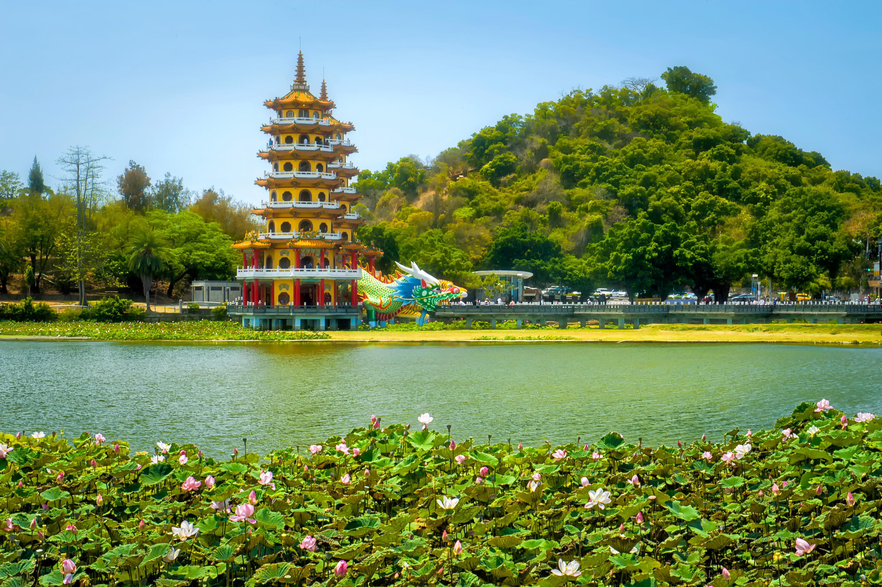 Lotus Pond Overview