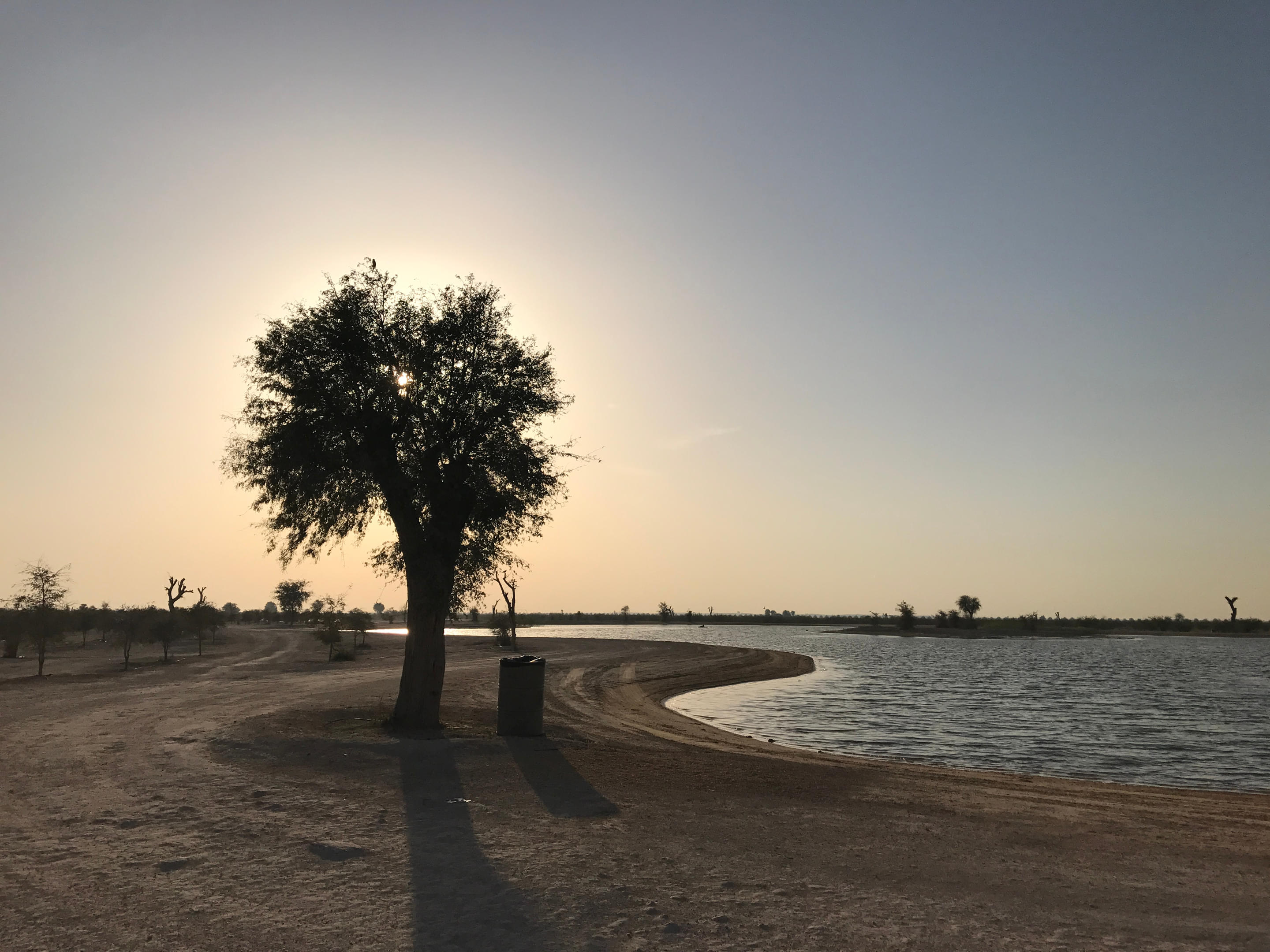Al Qudra Lake Dubai Overview