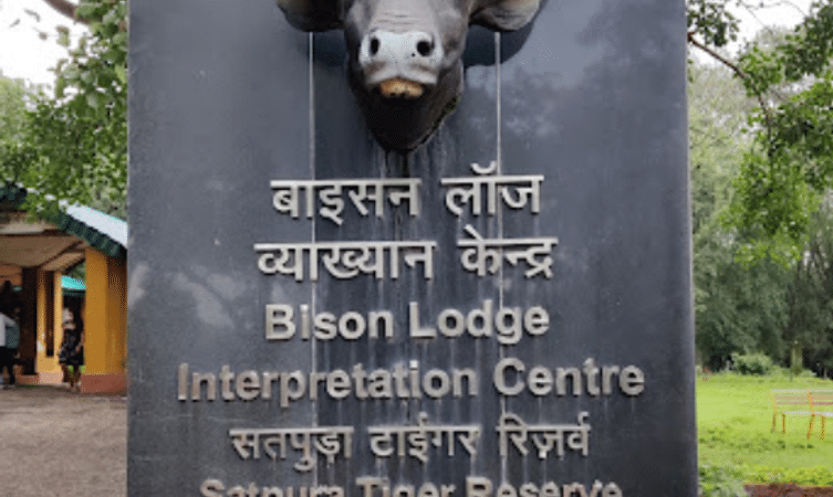 Bison Lodge Museum