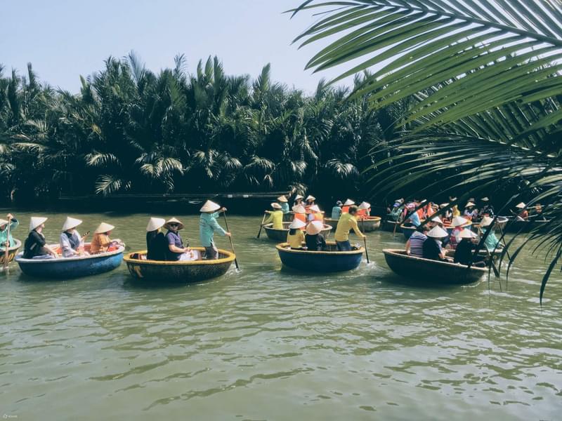 Coconut Forest Basket Boat Ride Tickets Image