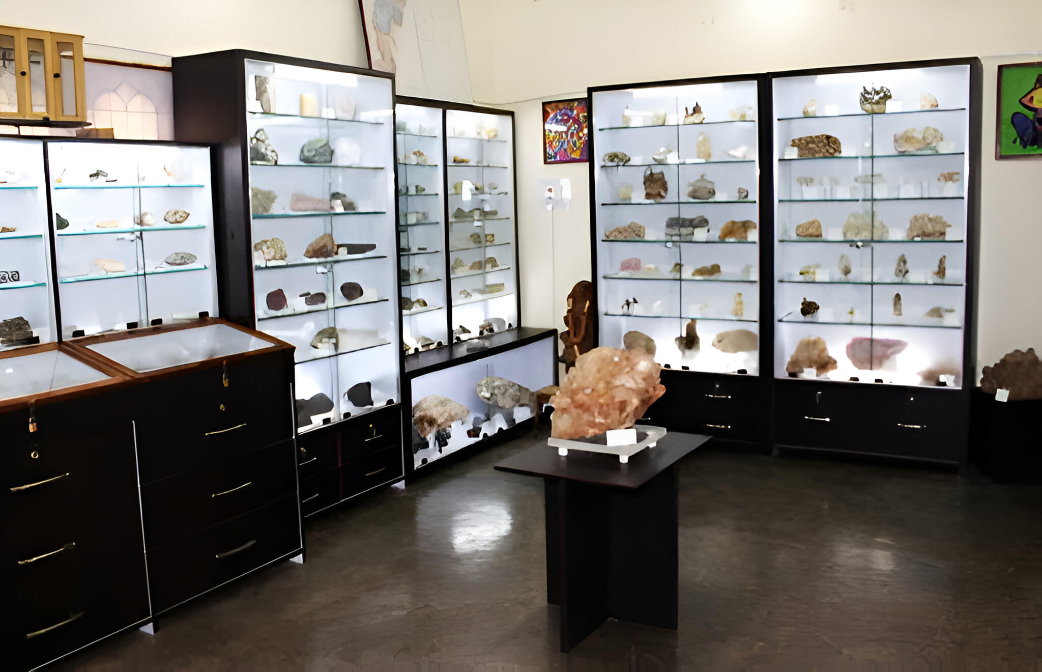 Dkns Memorial Geological Museum Overview