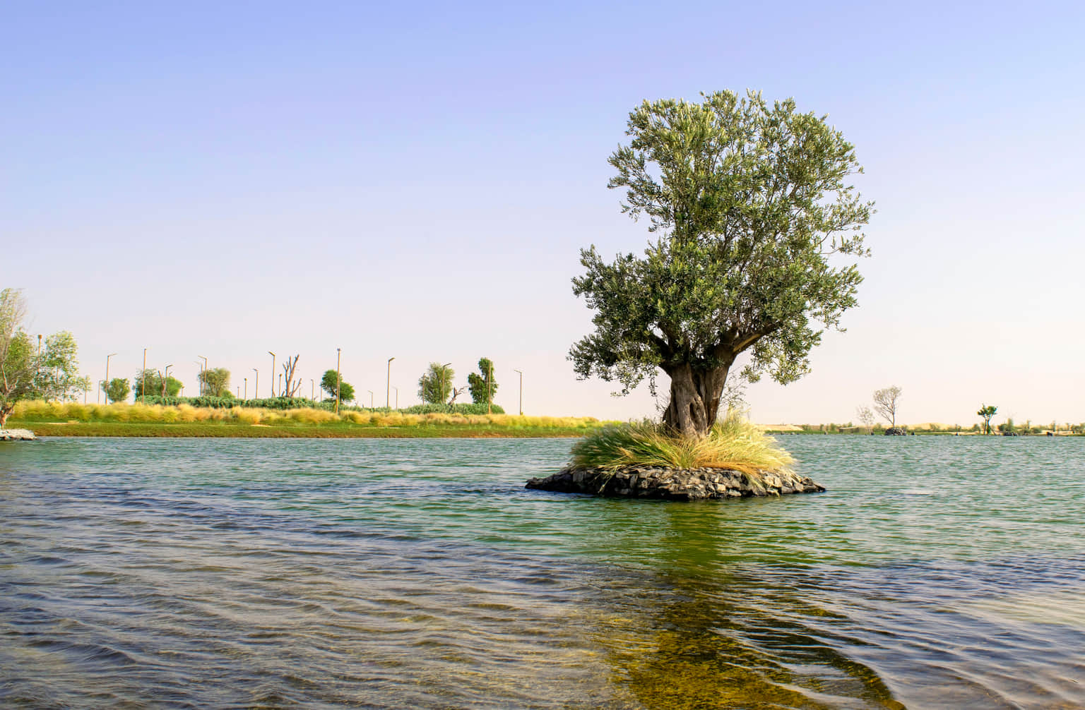 See a wide variety of plants, flowers, trees, and shrubs