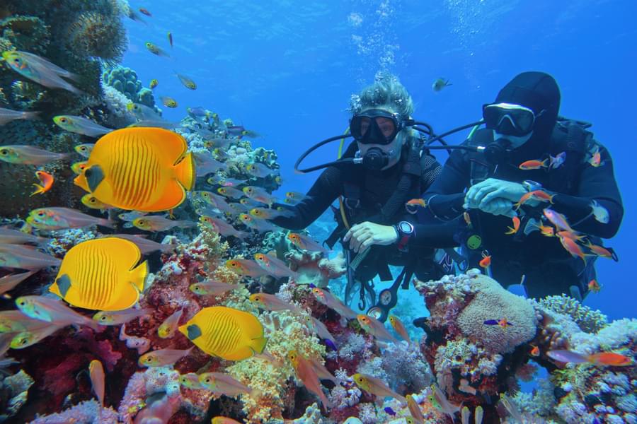 Scuba Diving In Andaman Image