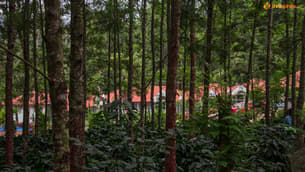 M1qnm6gnzqi748nn4cezawmrvgif 7%20ira