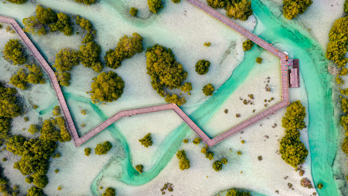 Jubail Mangrove Park