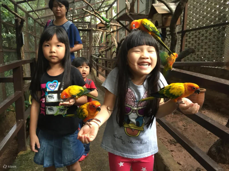 Things To Do at KL Tower Mini Zoo