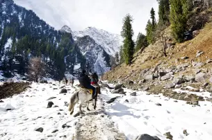 M28s6ej8ohkmwpbucr3p07d7efvj y00zh9ovbudh6yt8pm6s4kykmerf shutterstock 360957386