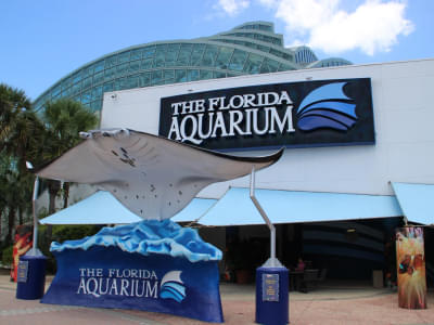 Visit The Florida Aquarium with your loved ones