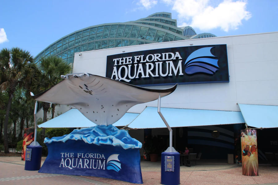 Visit The Florida Aquarium with your loved ones