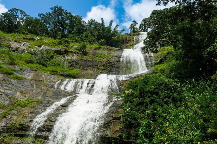 Kochi to Munnar- En Route Sightseeing Image