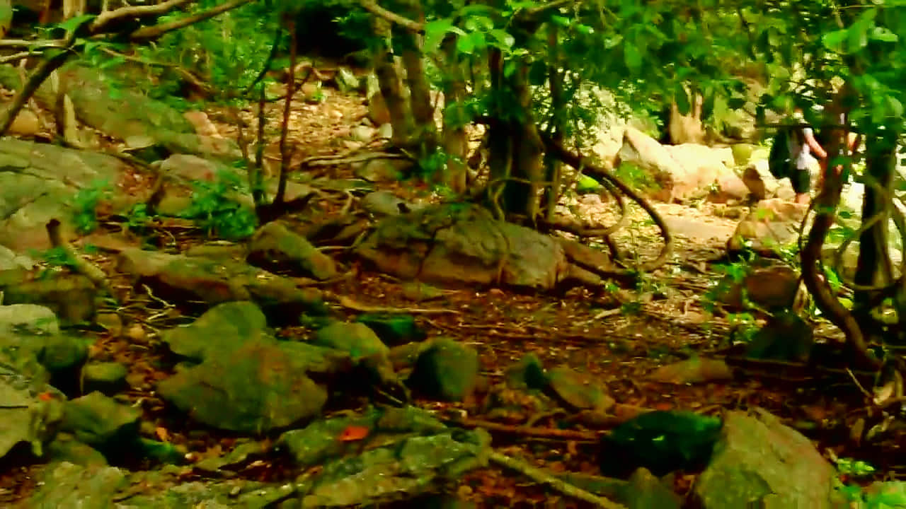 Photo from Chandraketu Bharadwaj's trip