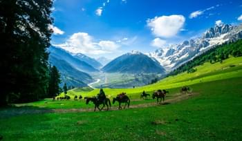 M3y3tf99rw8ro0gyx3dc7ohsm9xw tourist places in kashmir featur