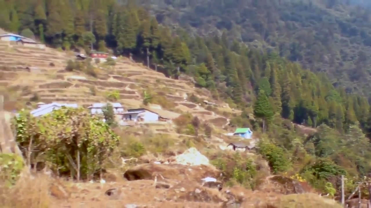 Photo from Deeksha Gill's trip