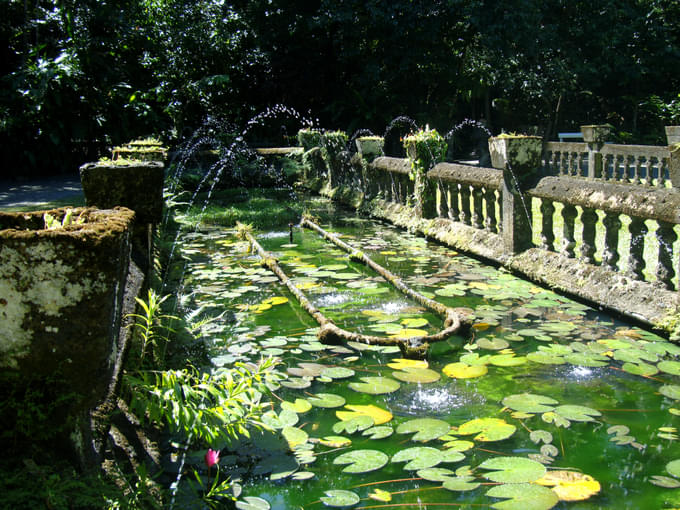Explore various sections of the National heritage listed park