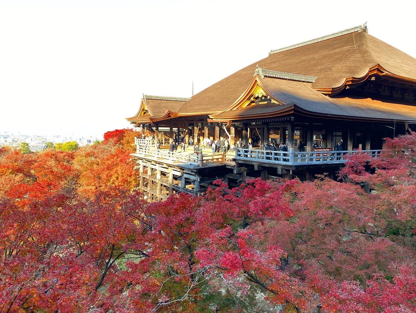 Places To Visit In Kyoto