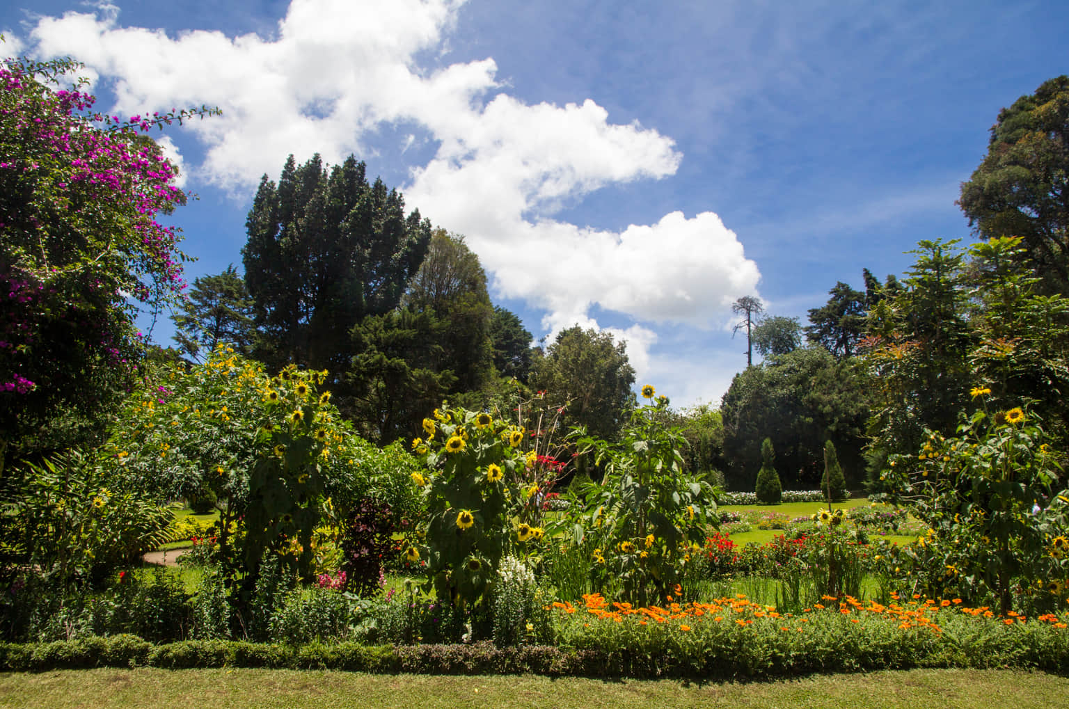 Victoria Park Nuwara Eliya, <em>Nuwara Eliya</em>