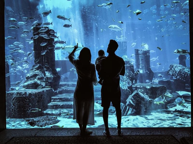 Visit the famous Lost Chamber Aquarium