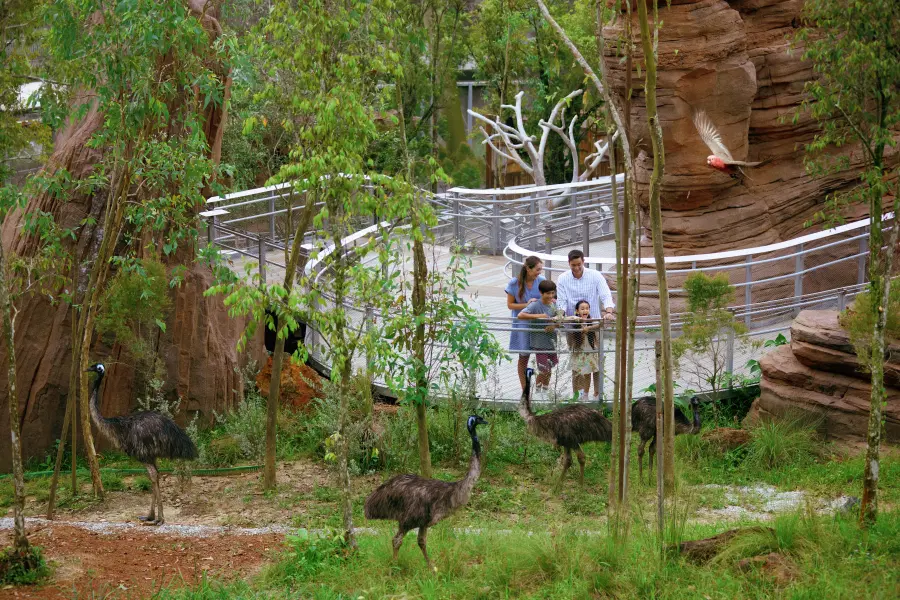 Bird Paradise & Singapore Night Safari Combo Image