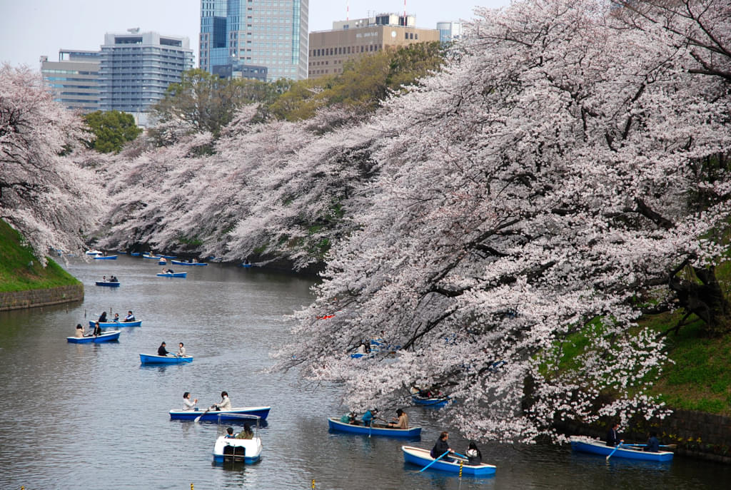 Chidorigafuchi