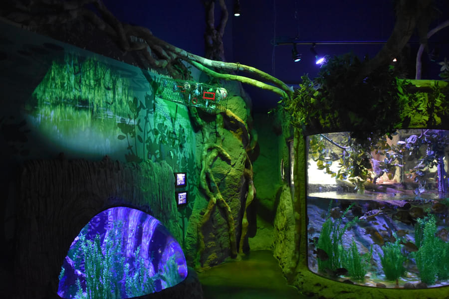 Explore 5 different exhibits at the aquarium