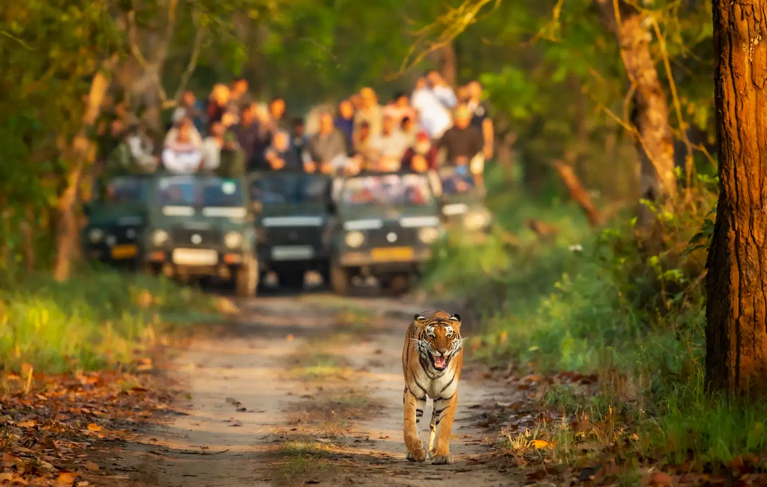 Highlights of Uttarakhand | From Temple Tales to Tiger Trails