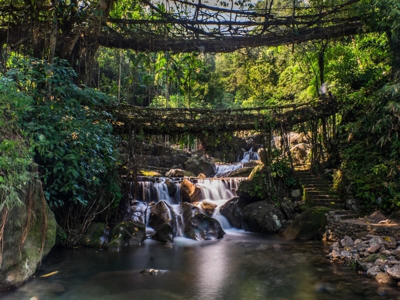 Explore Shillong Wonders | Free Double Decker Bridge Trek Image