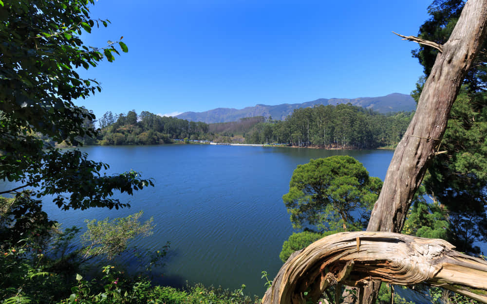 Kundala Dam Lake