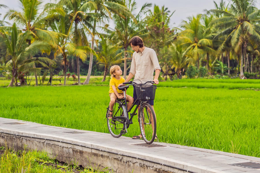 Atv Ride And Cycling At Munduk Langki In Bali Image