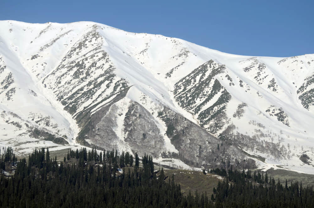 Khilanmarg, <em>Gulmarg</em>