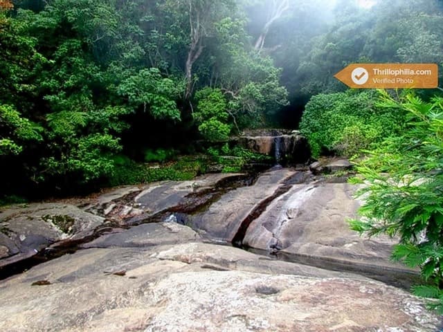 Vattakanal Trekking Image