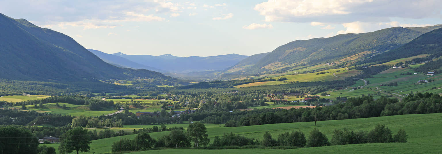 Dovre Mountain, <em>Oslo</em>