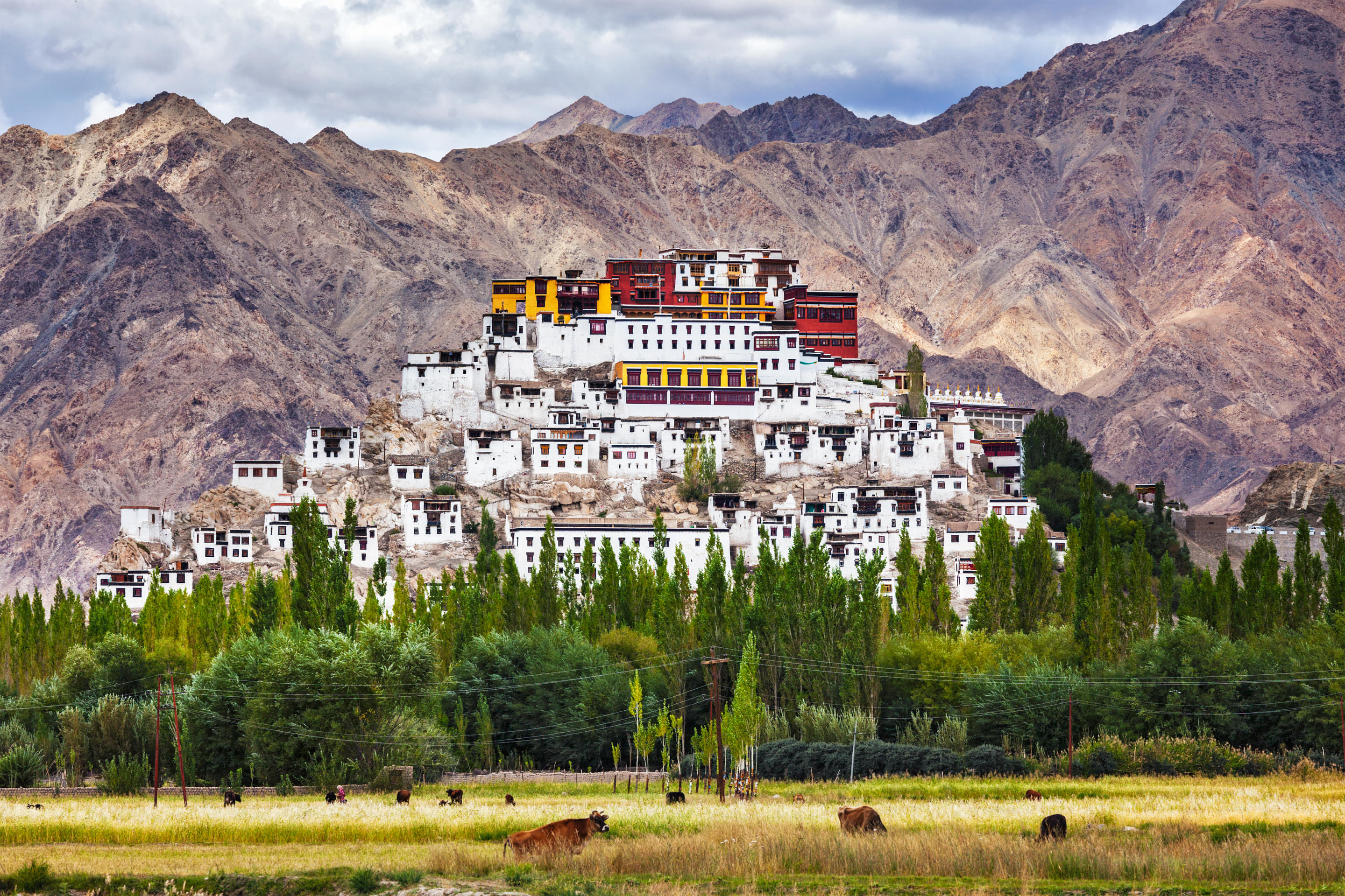 Thiksey Monastery Overview