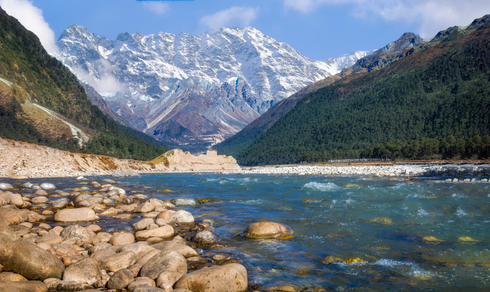 Visit to Yumthang Valley Image